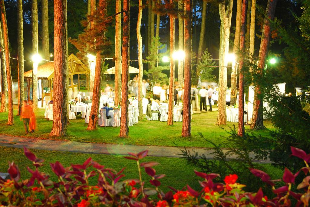 Hotel Villa Majur スボティツァ エクステリア 写真